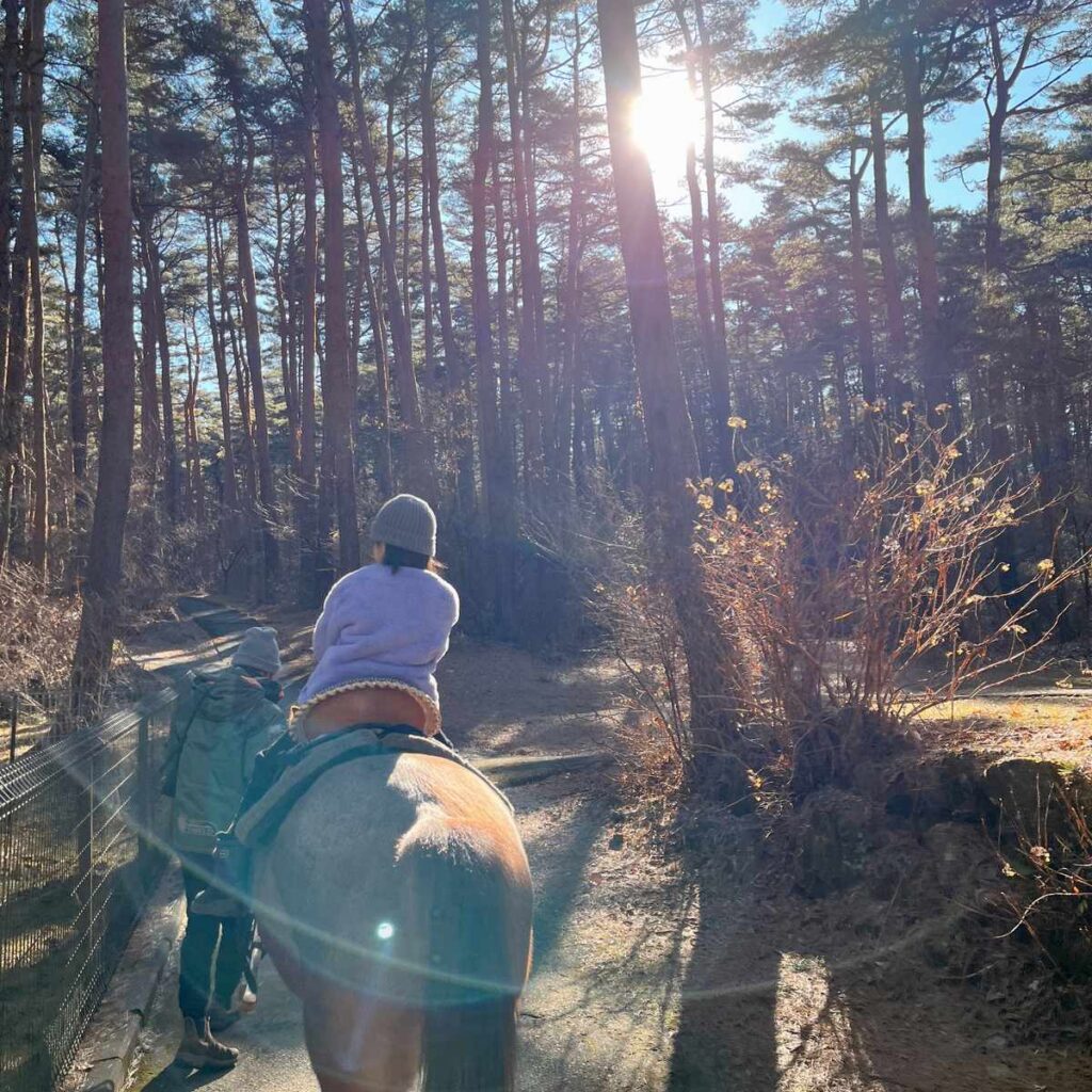 富士すばるランドで子どもが乗馬体験をしている様子