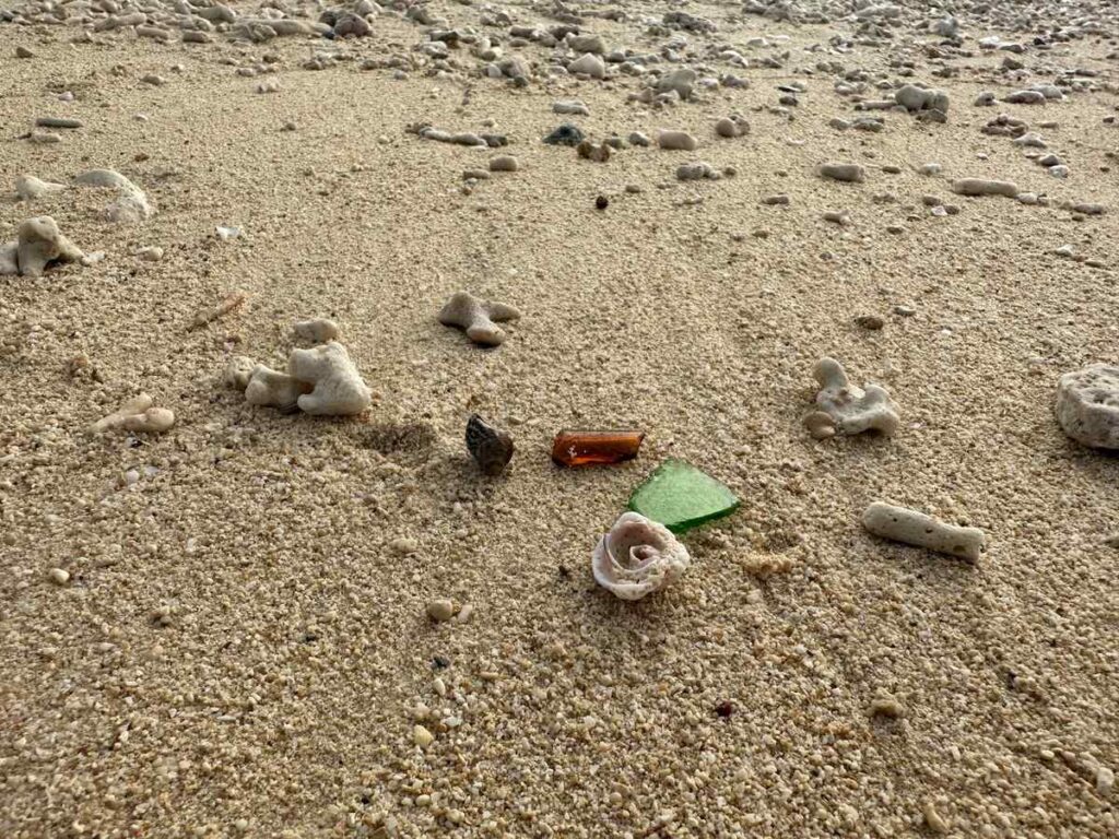 沖縄のビーチで見つけたシーグラスと貝殻